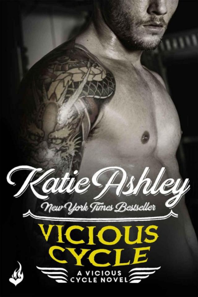 read-vicious-cycle-online-read-free-novel-read-light-novel