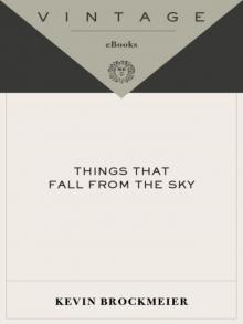      Things That Fall From the Sky