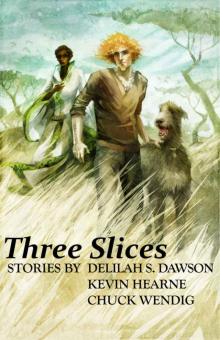      Three Slices