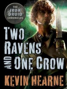      Two Ravens and One Crow
