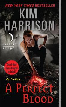      A Perfect Blood With Bonus Material