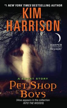      Pet Shop Boys: A Short Story