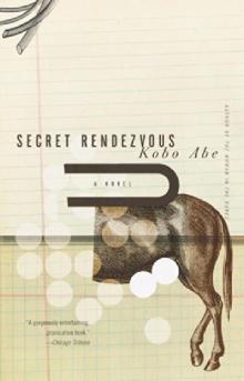      Secret Rendezvous