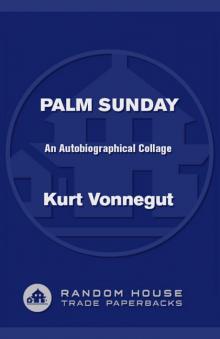      Palm Sunday: An Autobiographical Collage