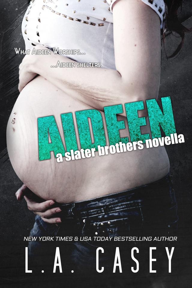 aideen la casey read online