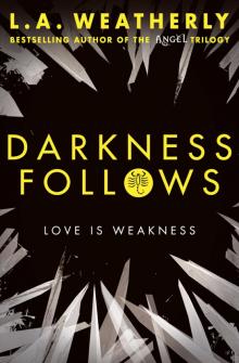      Darkness Follows