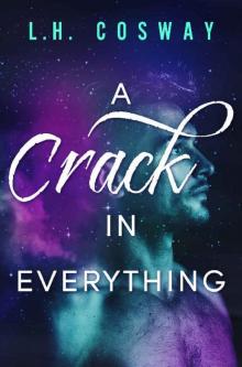     A Crack in Everything
