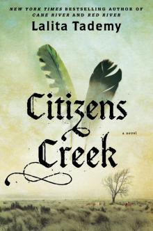      Citizens Creek