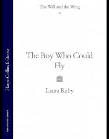      The Boy Who Could Fly