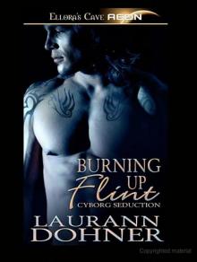      Burning Up Flint