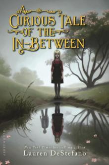      A Curious Tale of the In-Between