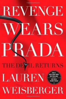      Revenge Wears Prada: The Devil Returns