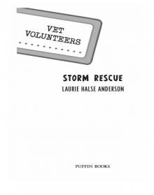      Storm Rescue