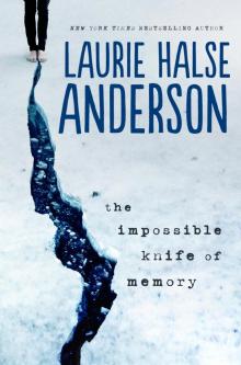      The Impossible Knife of Memory