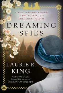      Dreaming Spies