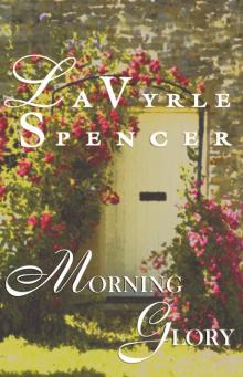      Morning Glory