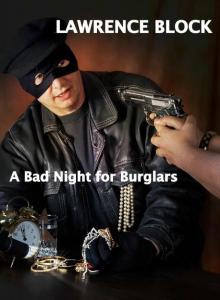      A Bad Night for Burglars