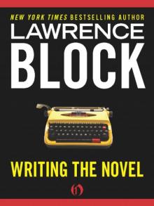      Writing the Novel