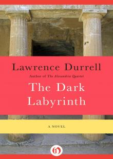      The Dark Labyrinth