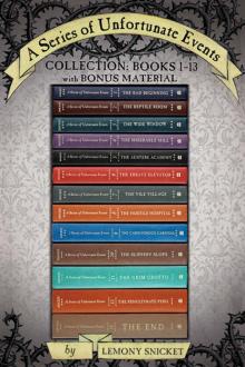      A Series of Unfortunate Events Box: The Complete Wreck