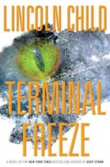      Terminal Freeze