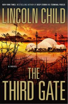      The Third Gate
