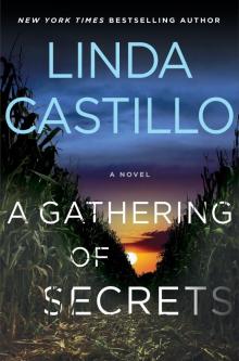      A Gathering of Secrets