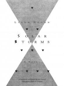      Solar Storms