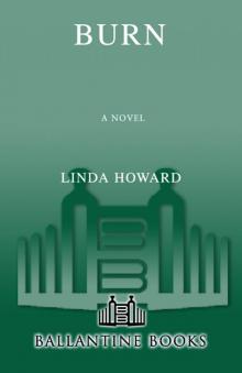      Burn: A Novel