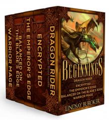      Beginnings: Five Heroic Fantasy Adventure Novels