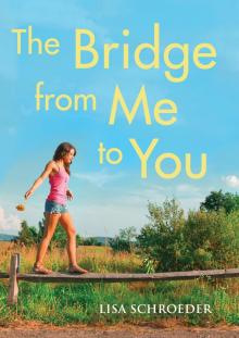     The Bridge From Me to You