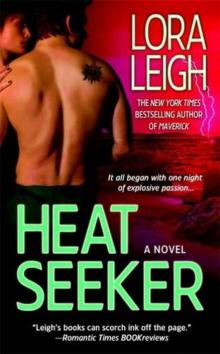      Heat Seeker