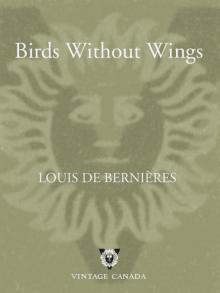      Birds Without Wings