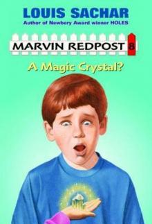      A Magic Crystal?