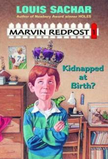      Kidnapped at Birth?