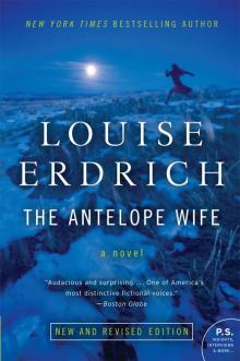      The Antelope Wife
