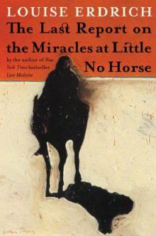     The Last Report on the Miracles at Little No Horse