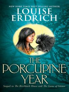      The Porcupine Year