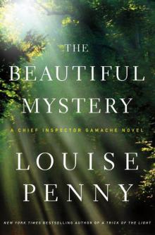      The Beautiful Mystery