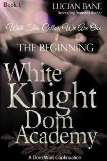      White Knight Dom Academy