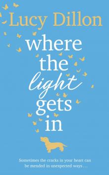      Where the Light Gets In