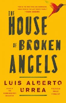      The House of Broken Angels