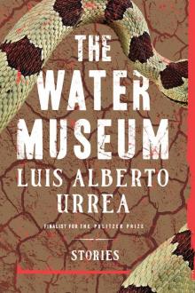      The Water Museum