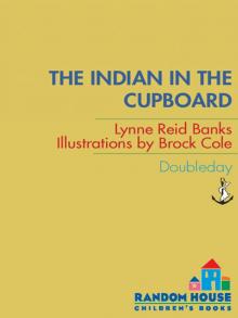      The Indian in the Cupboard