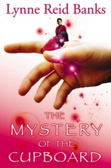      The Mystery of the Cupboard