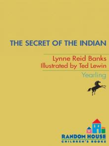      The Secret of the Indian (The Indian in the Cupboard)