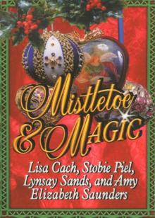      The Fairy Godmother