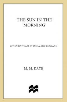      The Sun in the Morning