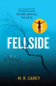      Fellside