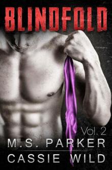      Blindfold Vol. 2